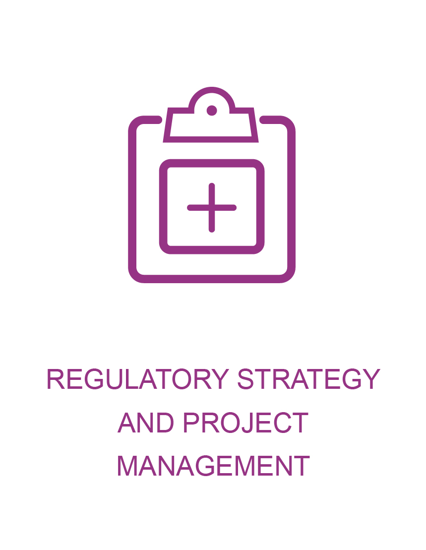 Regulatory Strategy and Project Management